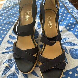 Charles by Charles David Black Wedge Sandals